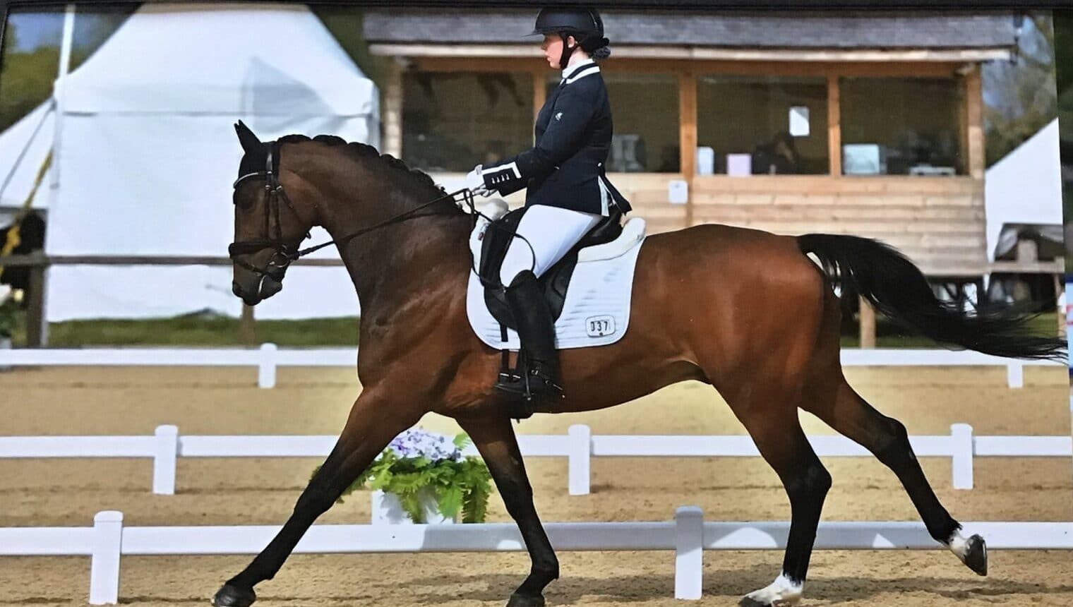 Dressage Dream team - Walthamstow Hall Independent Girls' School Sevenoaks