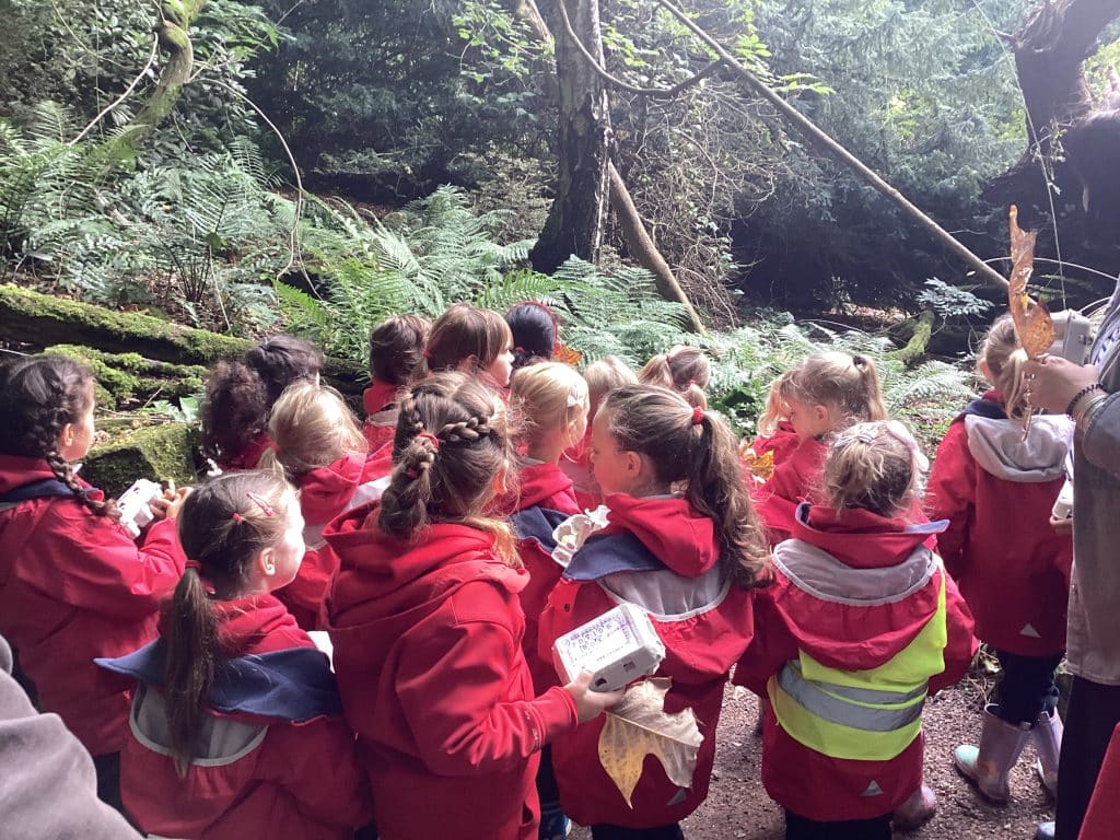 Exploring nature at Riverhill